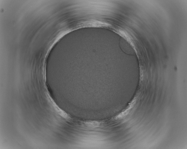 X0000088590843200706081326