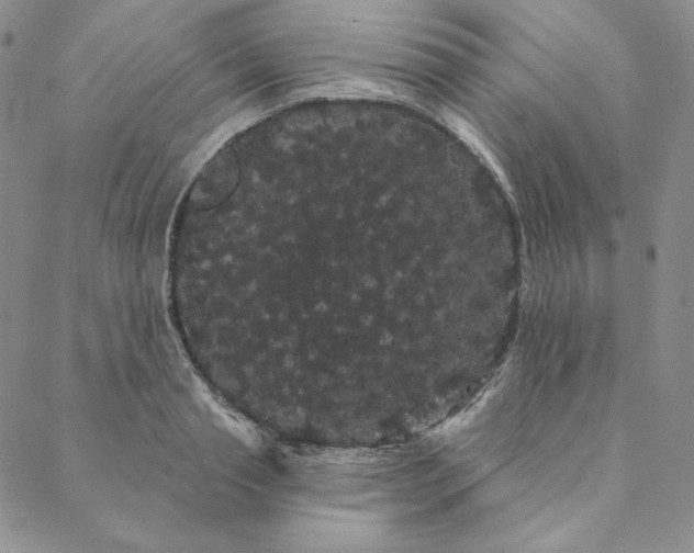 X0000088590845200706081326