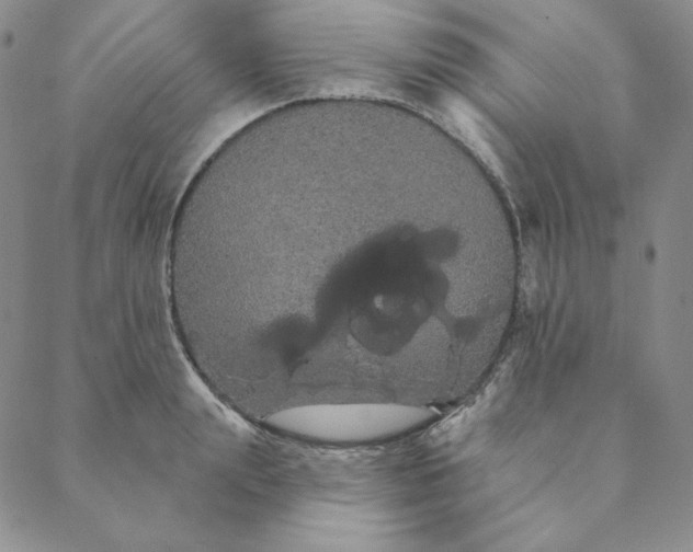 X0000088590847200706081326