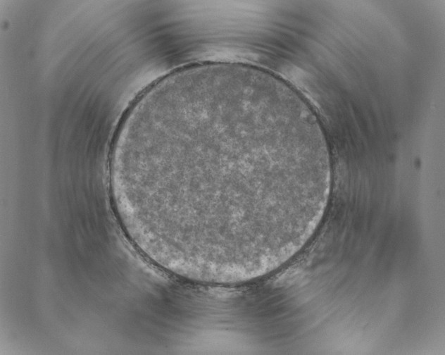 X0000088590848200706081326