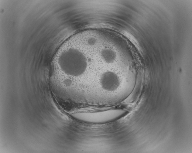 X0000088590849200706081326