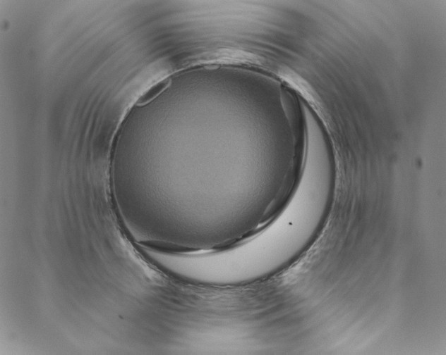 X0000088590850200706081326