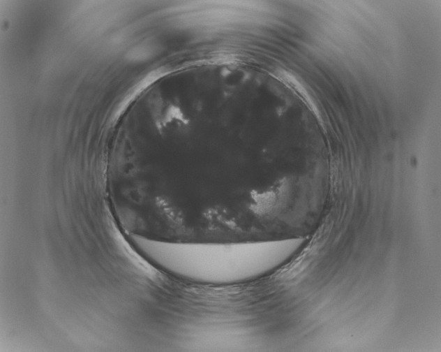 X0000088590851200706081326