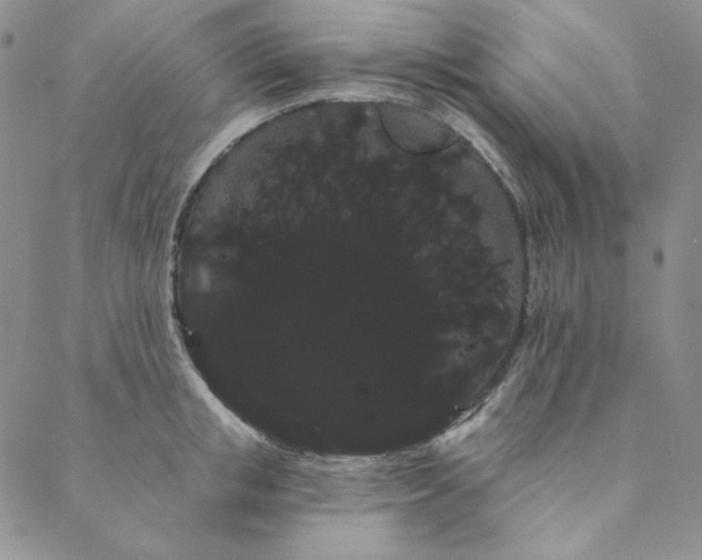 X0000088590853200706081326