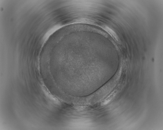 X0000088590854200706081326