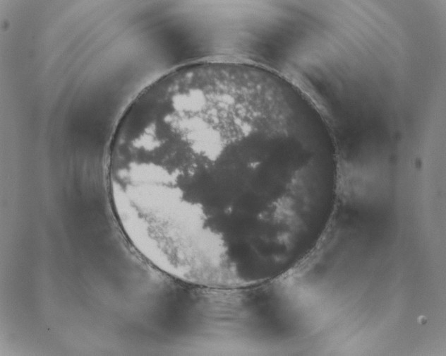 X0000088590856200706081326