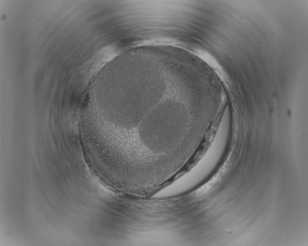 X0000088590857200706081326