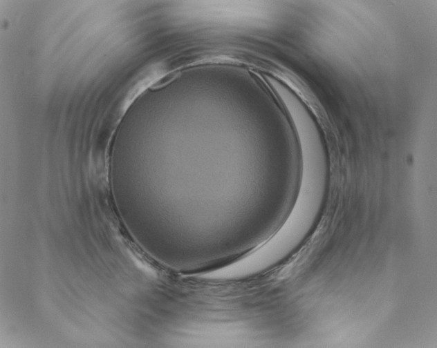 X0000088590858200706081326