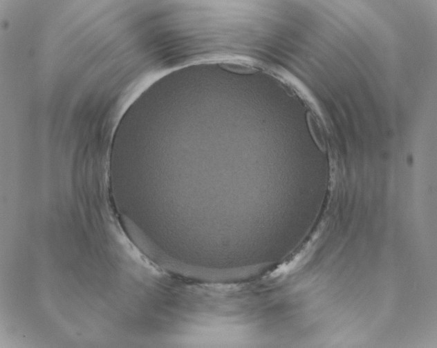 X0000088590860200706081326