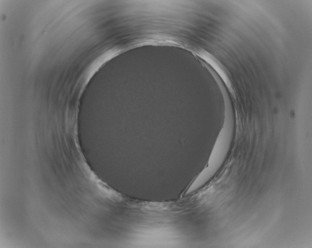 X0000088590861200706081326