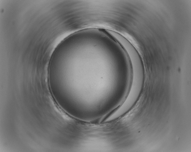 X0000088590862200706081326