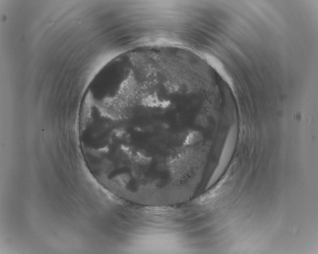 X0000088590863200706081326