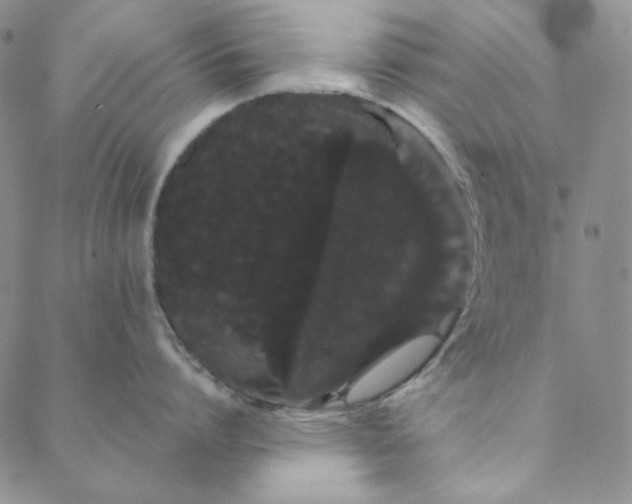 X0000088590864200706081326