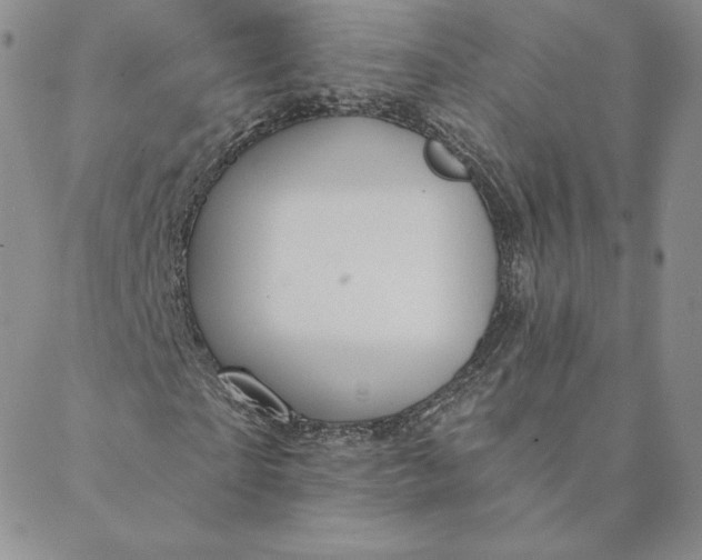 X0000088590865200706081325