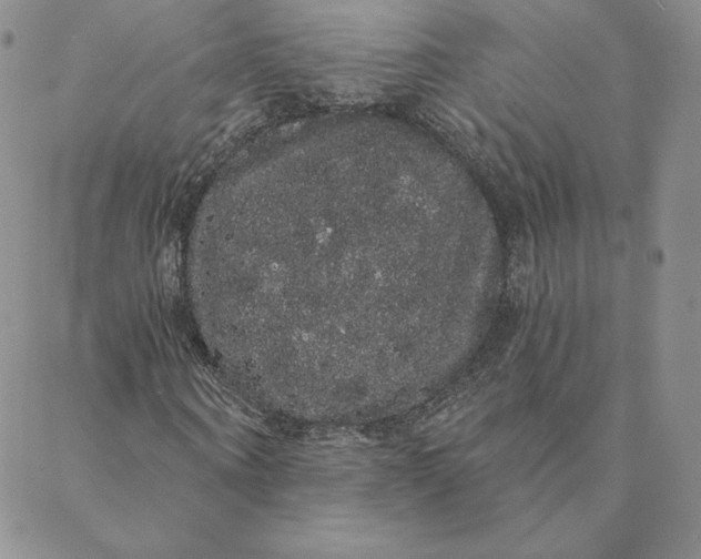 X0000088590866200706081325