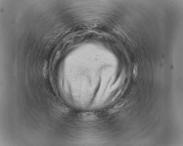 X0000088590867200706081325