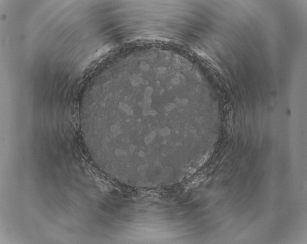 X0000088590870200706081325