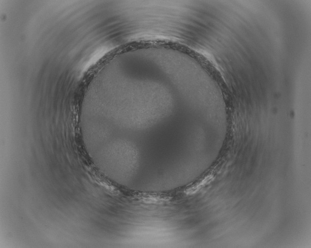 X0000088590871200706081325