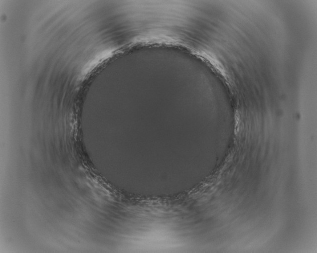 X0000088590872200706081325