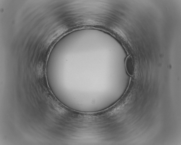 X0000088590873200706081325