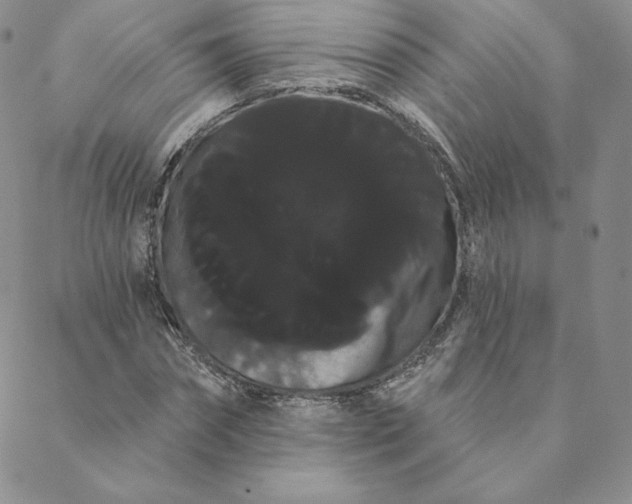 X0000088590874200706081325