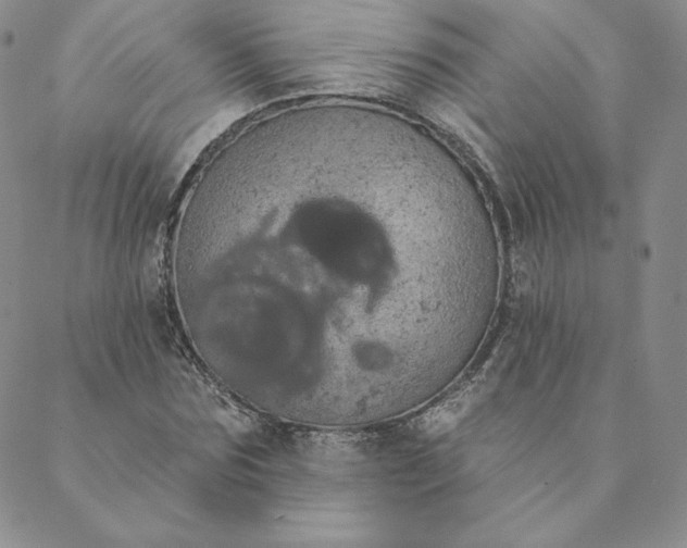 X0000088590875200706081325