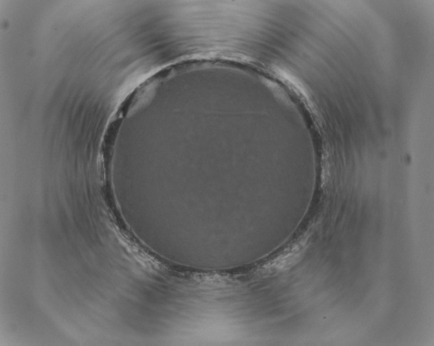 X0000088590876200706081325