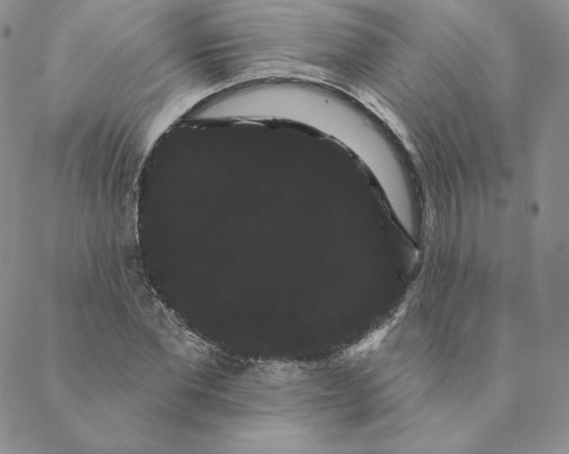 X0000088590877200706081325