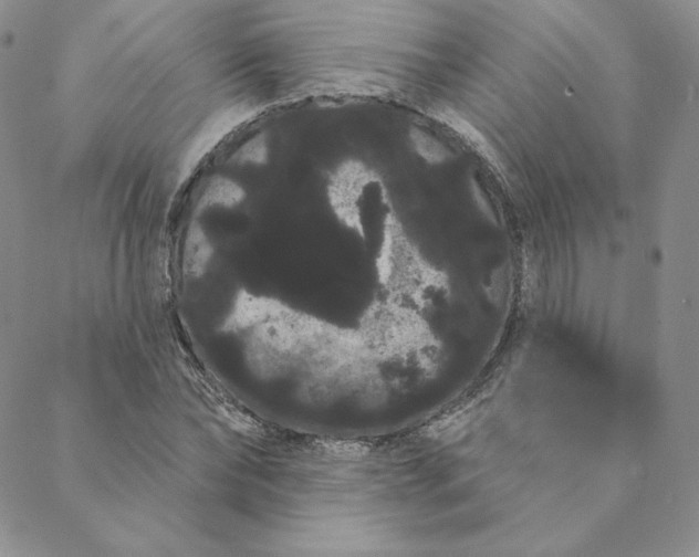 X0000088590878200706081325