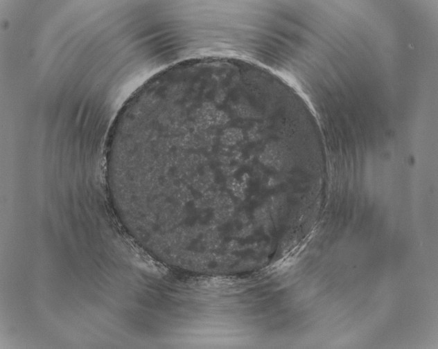 X0000088590879200706081325