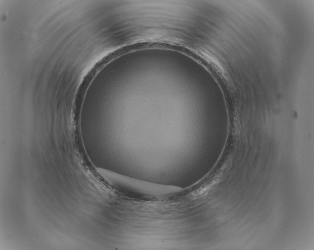 X0000088590880200706081325