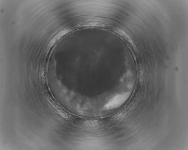 X0000088590882200706081325