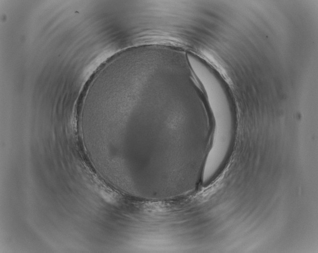 X0000088590883200706081325