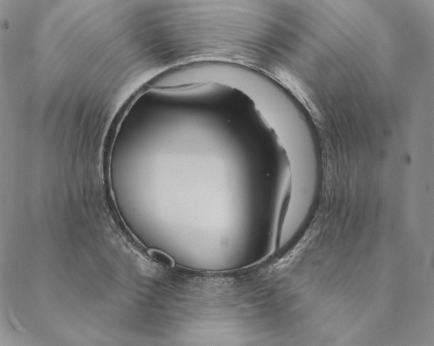 X0000088590884200706081325