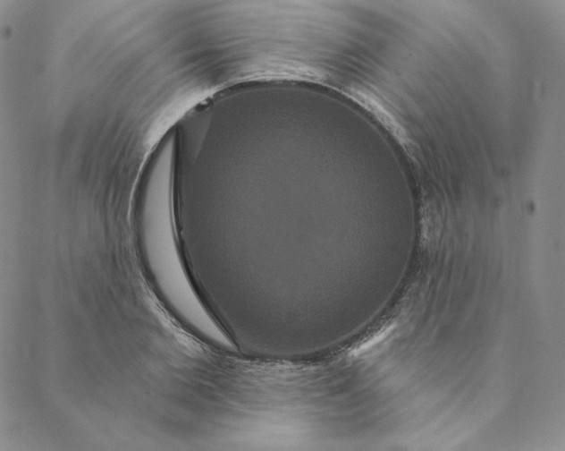 X0000088590885200706081325