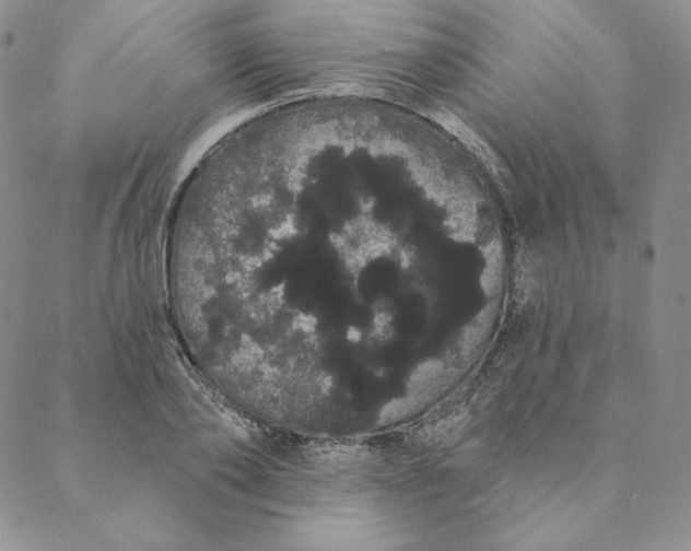 X0000088590886200706081325