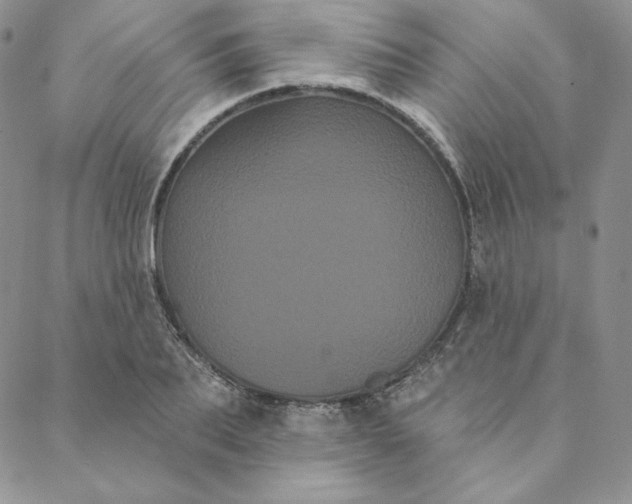 X0000088590887200706081325