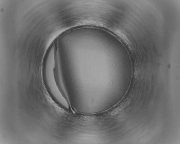 X0000088590888200706081325