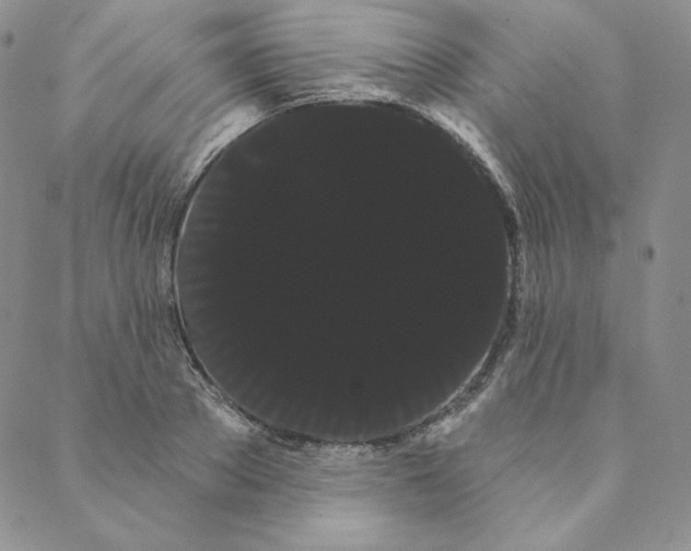 X0000088590889200706081325