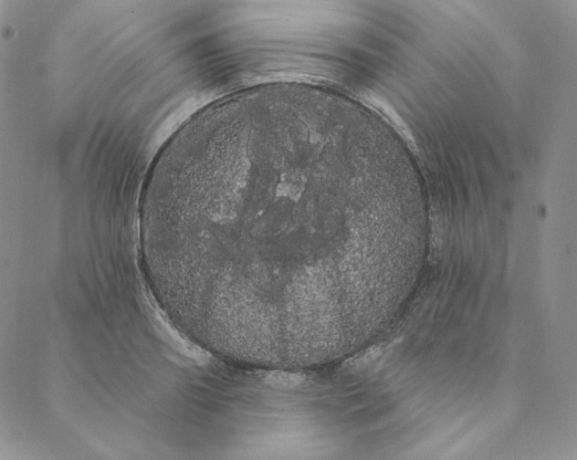 X0000088590890200706081325