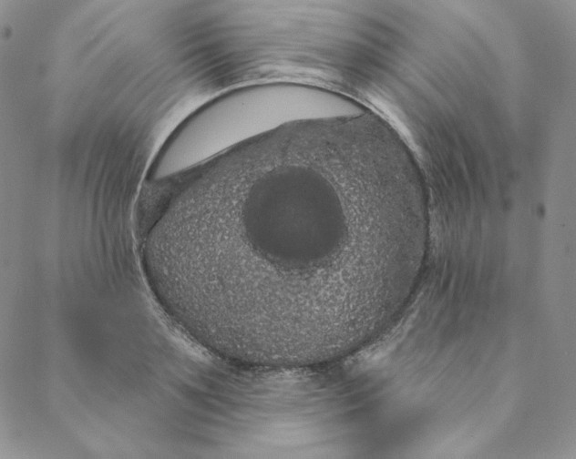 X0000088590891200706081325