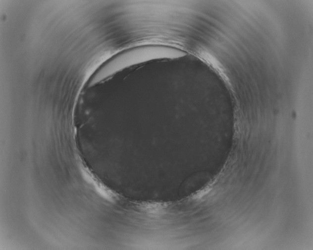 X0000088590892200706081325