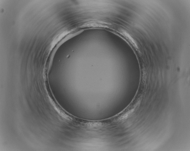 X0000088590893200706081325