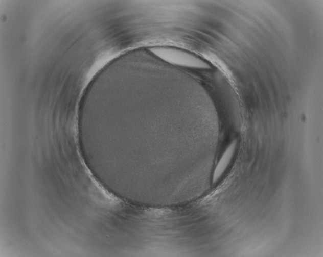 X0000088590894200706081325