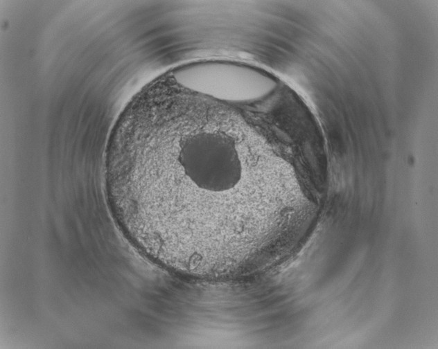 X0000088590895200706081325