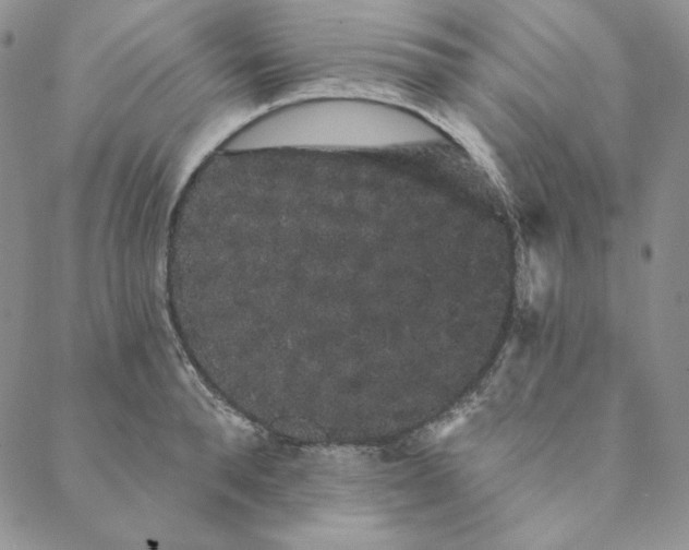 X0000088590896200706081325