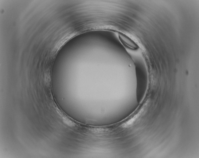 X0000088590897200706081325