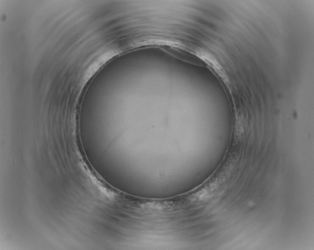 X0000088590898200706081325