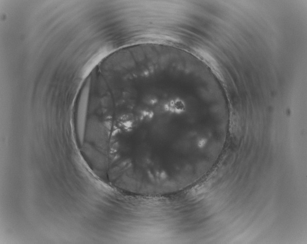 X0000088590899200706081325