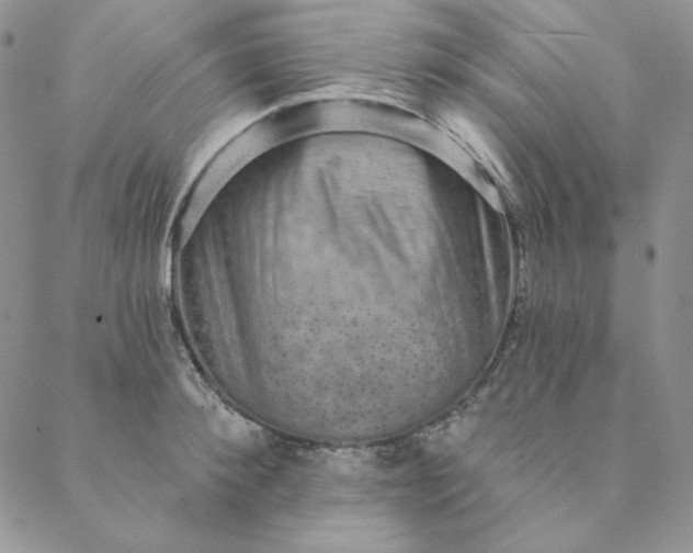 X0000088590900200706081325